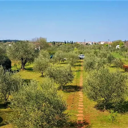 Vakantiehuis Rural Sarisol *