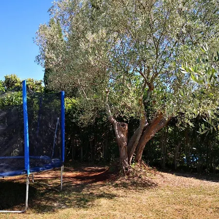 Vakantiehuis Rural Sarisol *